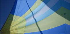 Immagine 900.jpg