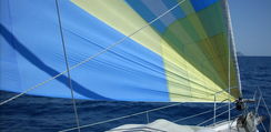 Immagine 906.jpg