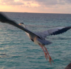 11112010226-2.jpg